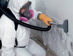 Best Crawl Space Mold Remediation  in Johnston City, IL